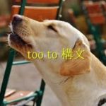 Tooは否定の意味を含む